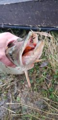 20201108_075857.jpg