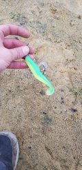 20201108_104214.jpg