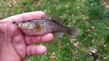 IMG_20201111_124637.jpg