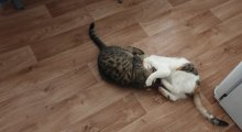 20201112_161552.jpg