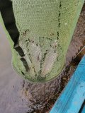IMG-20201114-WA0058.jpg