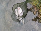 IMG-20201114-WA0063.jpg