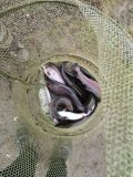 IMG-20201114-WA0064.jpg