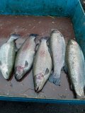 20201114_153908.jpg