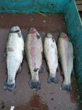 IMG-20201114-WA0066.jpg
