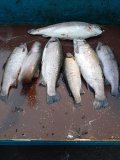 20201114_161941.jpg