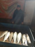 20201114_172437.jpg