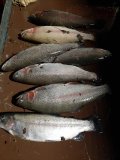 20201114_173406.jpg