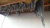 20130713_195050.jpg