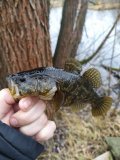 IMG_20201113_121500.jpg