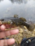 IMG_20201113_094034.jpg