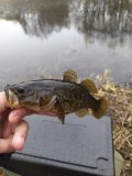 IMG_20201113_100933.jpg