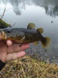 IMG_20201113_091354.jpg
