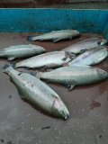 20201115_141239.jpg