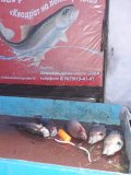 IMG-20201115-WA0004.jpg