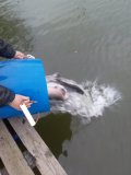 IMG-20201116-WA0000.jpg
