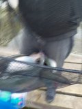 IMG-20201116-WA0006.jpg