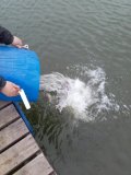 IMG-20201116-WA0004.jpg