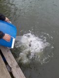 IMG-20201116-WA0010.jpg