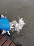 IMG-20201114-WA0043.jpg