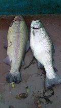 IMG-20201116-WA0021.jpg