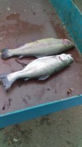 IMG-20201116-WA0022.jpg