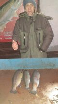 IMG-20201116-WA0028.jpg