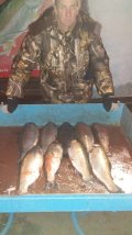 IMG-20201116-WA0030.jpg