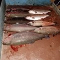 IMG_20201116_171835.jpg