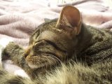 20201115_211935.jpg