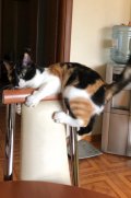 20201118_072924.jpg