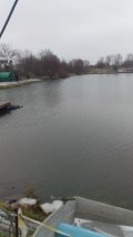 IMG-20201120-WA0004.jpg