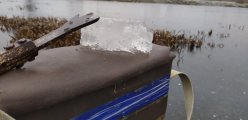 IMG_20201119_173251.jpg