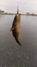 IMG-20201119-WA0004.jpg