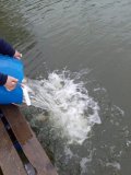IMG-20201120-WA0014.jpg