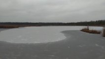 P_20201120_081317_vHDR_Auto.jpg