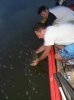 phoca_thumb_l_Uvelik218.jpg