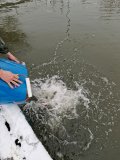 IMG-20201121-WA0008.jpg