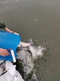 IMG-20201121-WA0012.jpg