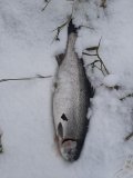 20201121_130920.jpg