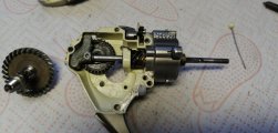 IMG_20201121_110240.jpg