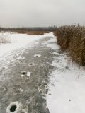 IMG_20201121_142008.jpg