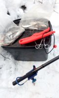IMG_20201123_155256.jpg