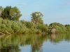 phoca_thumb_l_Uvelik015.jpg