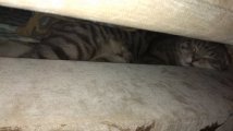 IMG_20201124_205817.jpg