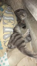 IMG_20201124_205805.jpg