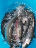 IMG-20201124-WA0039.jpg
