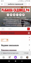 Screenshot_2020-11-24-22-14-03-453_ru.yandex.searchplugin.jpg