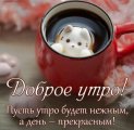 Screenshot_20201125-120819_Yandex.jpg