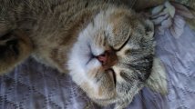 IMG_20201107_154940.jpg
